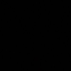 Meet your Posher, Annika